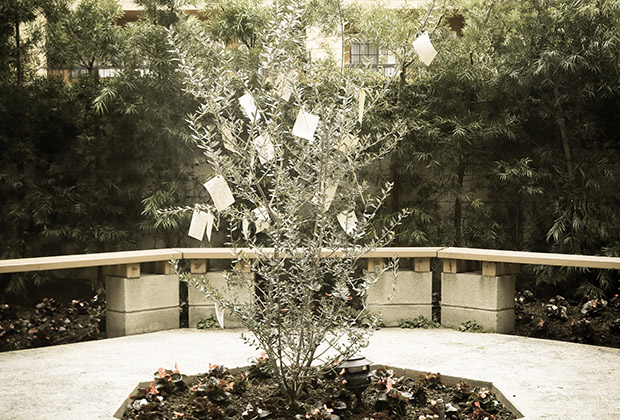 A Memorial Olive Tree, filled with notes from members of the AHC general community, was planted in Aris and Carolyn Anagnos Peace Center Foundation’s garden